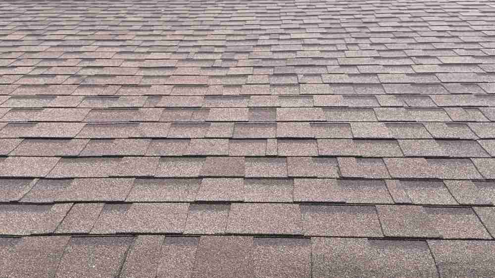architectural shingle roof charleston